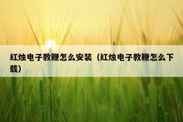 红烛电子教鞭怎么安装(红烛电子教鞭怎么下载)