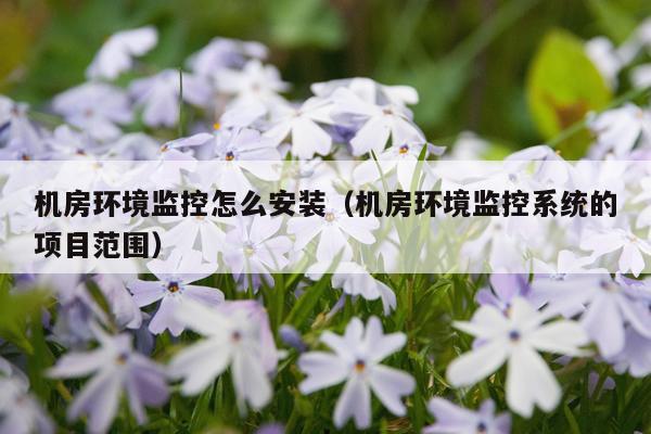 机房环境监控怎么安装(机房环境监控系统的项目范围)