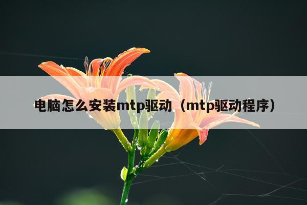 电脑怎么安装mtp驱动(mtp驱动程序)
