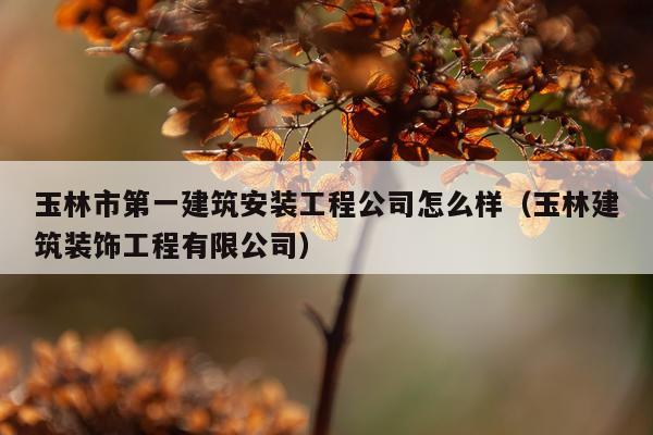 玉林市第一建筑安装工程公司怎么样(玉林建筑装饰工程有限公司)