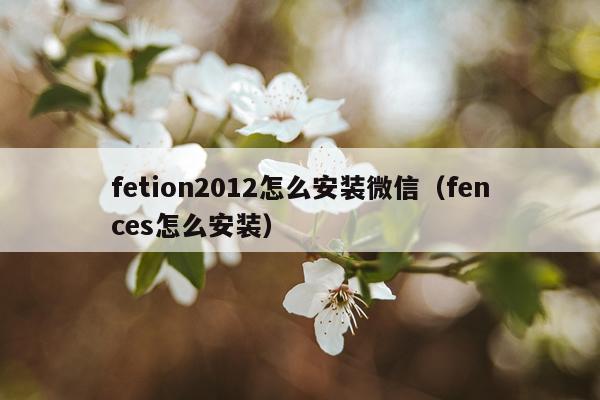 fetion2012怎么安装微信(fences怎么安装)