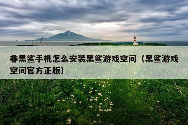非黑鲨手机怎么安装黑鲨游戏空间(黑鲨游戏空间官方正版)