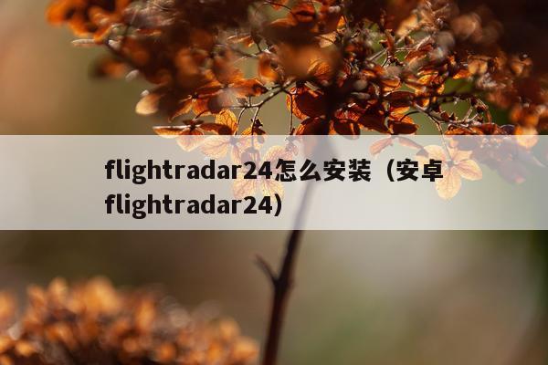 flightradar24怎么安装(安卓flightradar24)
