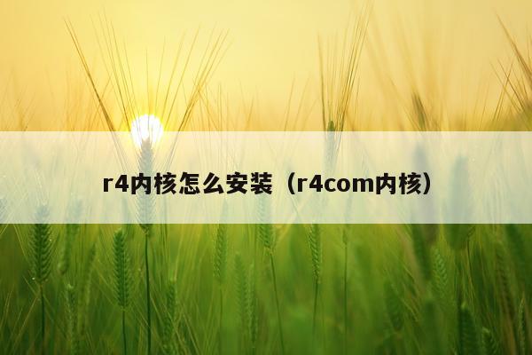 r4内核怎么安装(r4com内核)