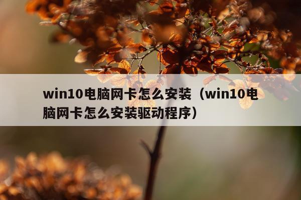 win10电脑网卡怎么安装(win10电脑网卡怎么安装驱动程序)