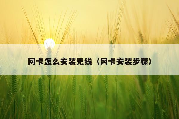 网卡怎么安装无线(网卡安装步骤)