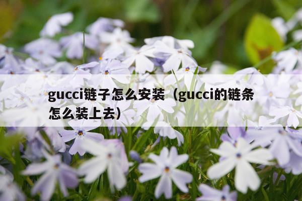 gucci链子怎么安装(gucci的链条怎么装上去)