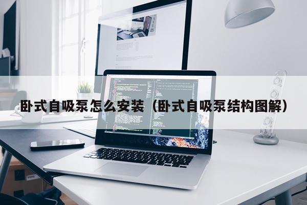 卧式自吸泵怎么安装(卧式自吸泵结构图解)