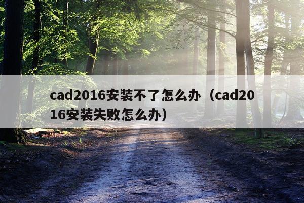 cad2016安装不了怎么办(cad2016安装失败怎么办)