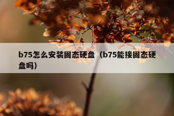 b75怎么安装固态硬盘(b75能接固态硬盘吗)