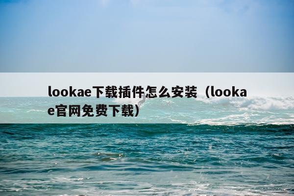 lookae下载插件怎么安装(lookae官网免费下载)