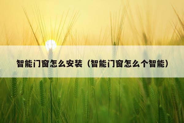 智能门窗怎么安装(智能门窗怎么个智能)