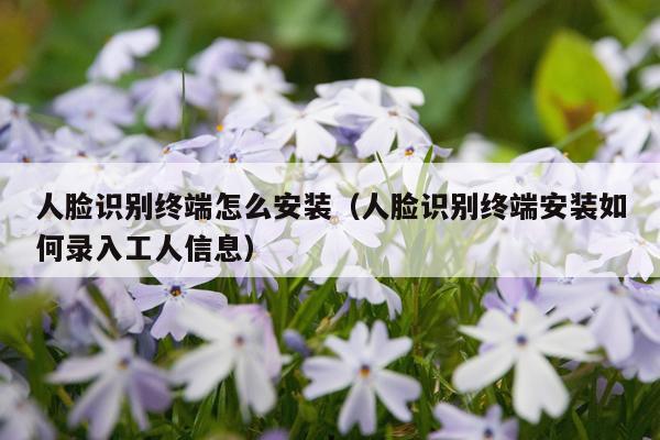 人脸识别终端怎么安装(人脸识别终端安装如何录入工人信息)