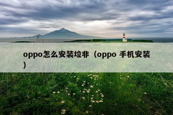 oppo怎么安装垃非(oppo 手机安装)