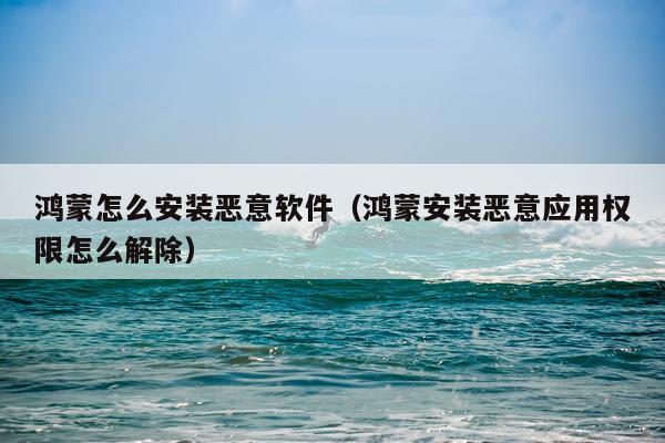 鸿蒙怎么安装恶意软件(鸿蒙安装恶意应用权限怎么解除)