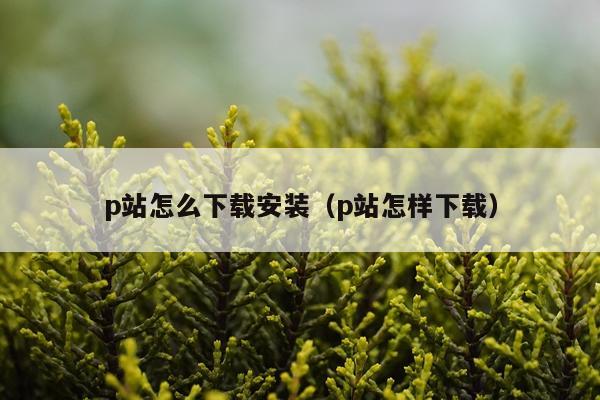 p站怎么下载安装(p站怎样下载)