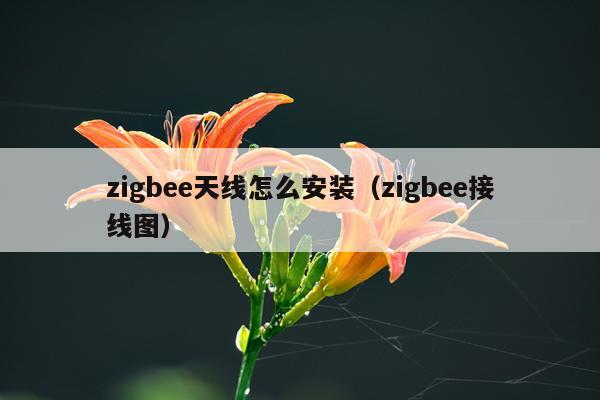 zigbee天线怎么安装(zigbee接线图)