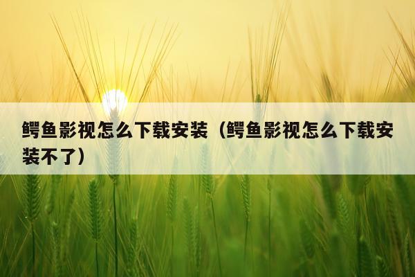 鳄鱼影视怎么下载安装(鳄鱼影视怎么下载安装不了)