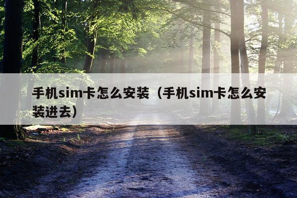 手机sim卡怎么安装(手机sim卡怎么安装进去)