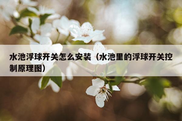 水池浮球开关怎么安装(水池里的浮球开关控制原理图)