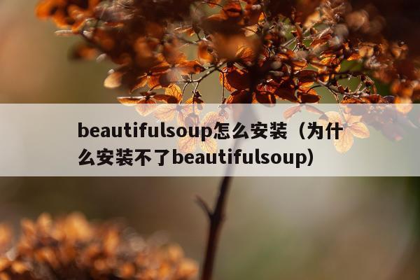 beautifulsoup怎么安装（为什么安装不了beautifulsoup）