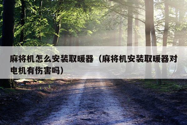 麻将机怎么安装取暖器(麻将机安装取暖器对电机有伤害吗)