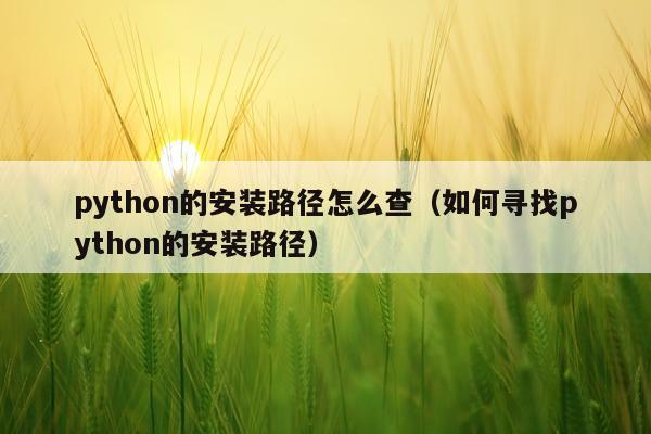 python的安装路径怎么查(如何寻找python的安装路径)