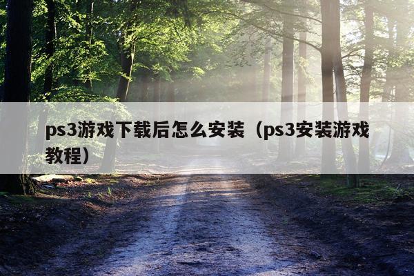 ps3游戏下载后怎么安装(ps3安装游戏教程)