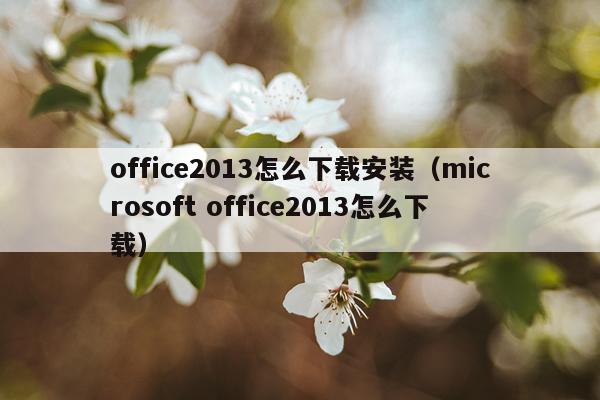 office2013怎么下载安装(microsoft office2013怎么下载)