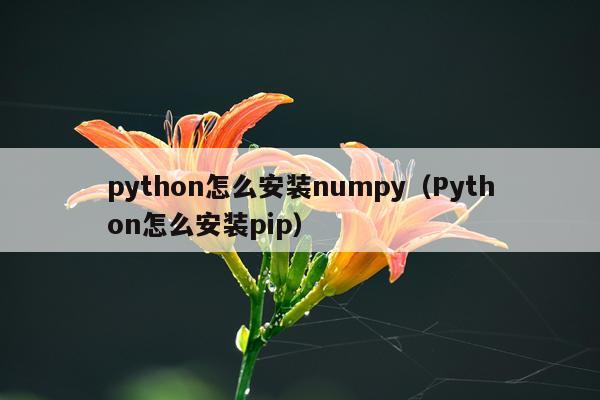 python怎么安装numpy(Python怎么安装pip)