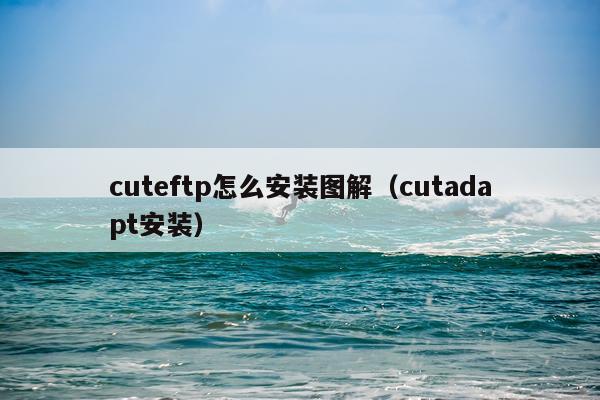 cuteftp怎么安装图解(cutadapt安装)