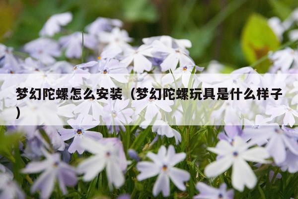 梦幻陀螺怎么安装(梦幻陀螺玩具是什么样子)
