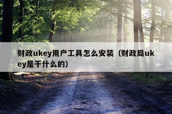 财政ukey用户工具怎么安装(财政局ukey是干什么的)