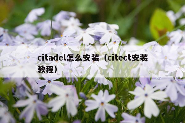 citadel怎么安装(citect安装教程)