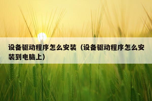 设备驱动程序怎么安装(设备驱动程序怎么安装到电脑上)