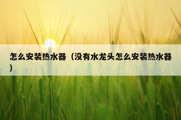 怎么安装热水器(没有水龙头怎么安装热水器)