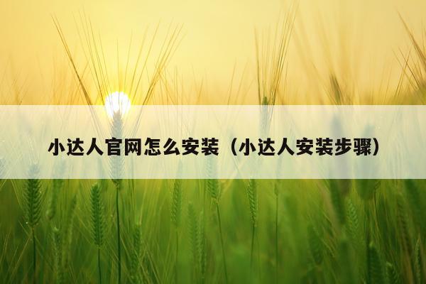 小达人官网怎么安装(小达人安装步骤)