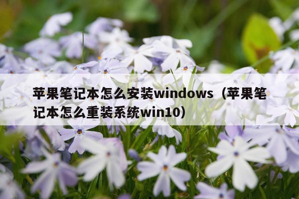 苹果笔记本怎么安装windows(苹果笔记本怎么重装系统win10)