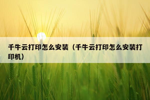 千牛云打印怎么安装(千牛云打印怎么安装打印机)