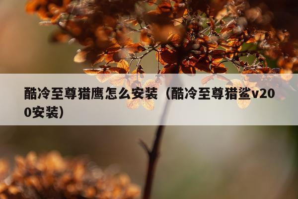 酷冷至尊猎鹰怎么安装(酷冷至尊猎鲨v200安装)