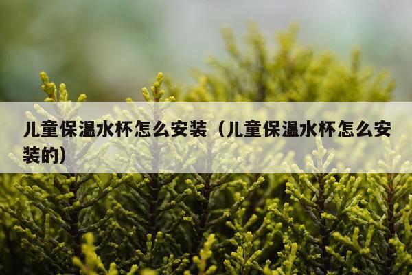 儿童保温水杯怎么安装(儿童保温水杯怎么安装的)