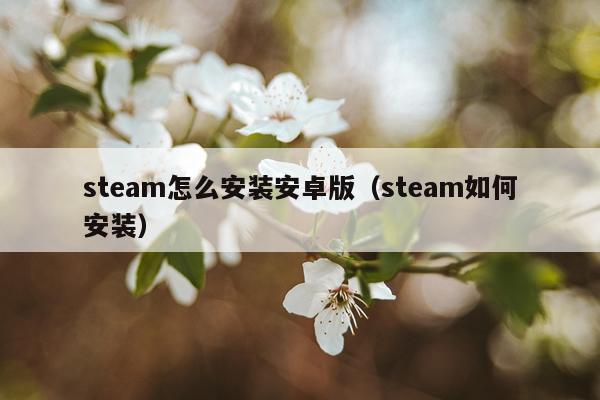 steam怎么安装安卓版(steam如何安装)
