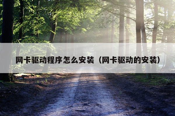 网卡驱动程序怎么安装(网卡驱动的安装)