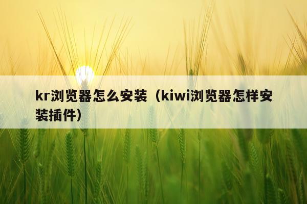 kr浏览器怎么安装(kiwi浏览器怎样安装插件)