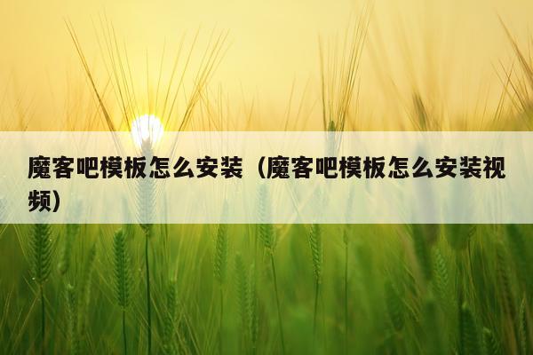 魔客吧模板怎么安装(魔客吧模板怎么安装视频)