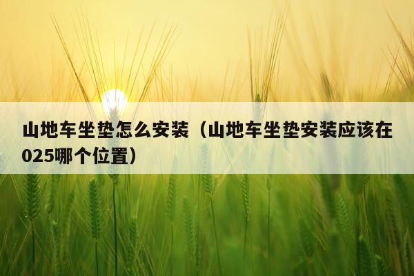 山地车坐垫怎么安装(山地车坐垫安装应该在025哪个位置)
