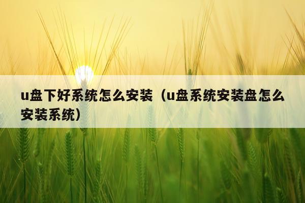 u盘下好系统怎么安装(u盘系统安装盘怎么安装系统)