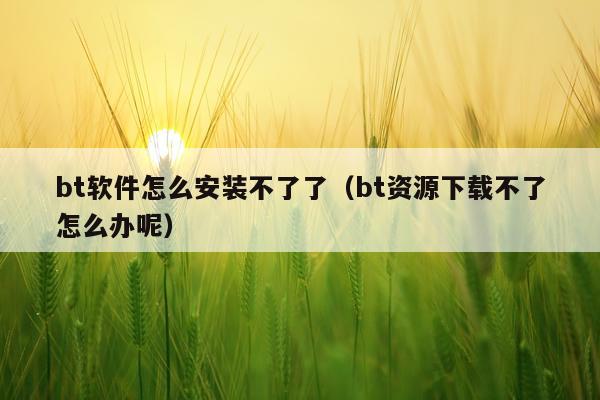 bt软件怎么安装不了了(bt资源下载不了怎么办呢)