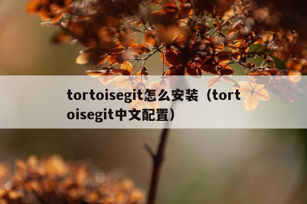tortoisegit怎么安装(tortoisegit中文配置)