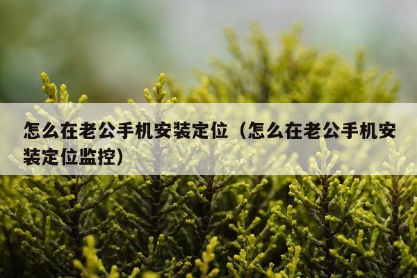 怎么在老公手机安装定位(怎么在老公手机安装定位监控)